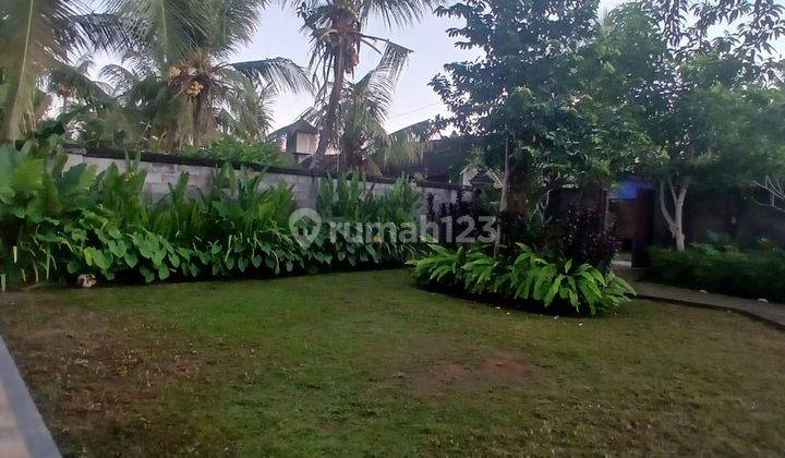 Rumah Sewa Besar Di Ubud Harga Murah Siap Huni 2