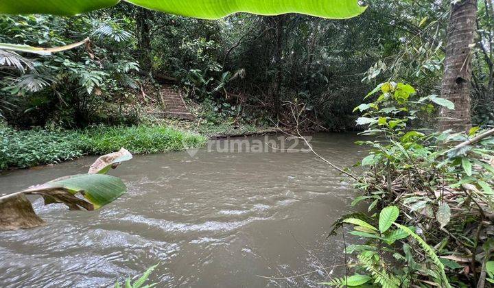 LAND LOS SUNGAI FOREST COOL SUITABLE FOR VILLA RENTAL COMPLEX 2