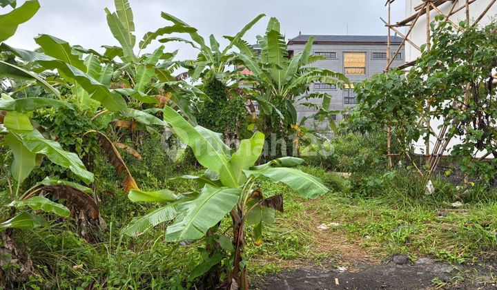 Tanah Dekat Central Ubud Cocok Vila Rental 