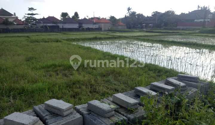 Tanah Cocok Vila Hostel Di Central Ubud Bali 