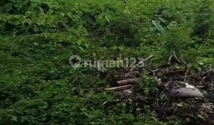 Land Ready to Build in Bitera Gianyar, Good Location Land Ready to Build in Bitera Gianyar, Good Location