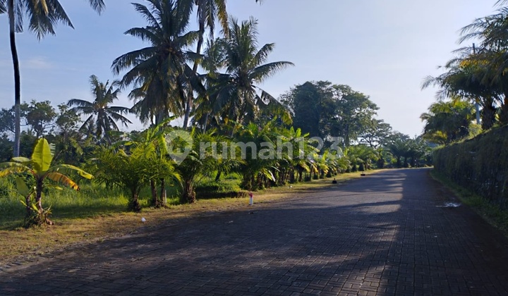 Tanah View Sungai Hutan Zona Kuning Lingkungan Villa Mewah Tanah View Sungai Hutan Zona Kuning Lingkungan Villa Mewah