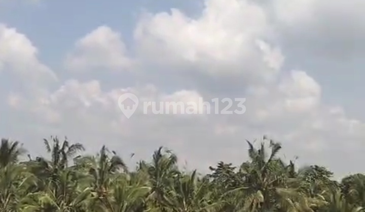 Tanah Murah Untuk Vila Pribadi View Super Cantik Tanah Murah Untuk Vila Pribadi View Super Cantik
