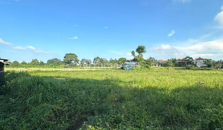 Tanah Sewa Zona Kuning View Sawah Abadi Cocok Komplek Villa 1