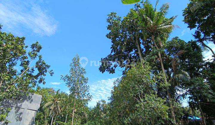 Tanah View Sungai Hutan Cocok Rental Di Ubud  2