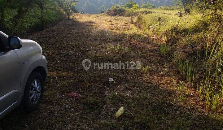 Tanah Super Luas Dan Super Murah di Tabanan 2