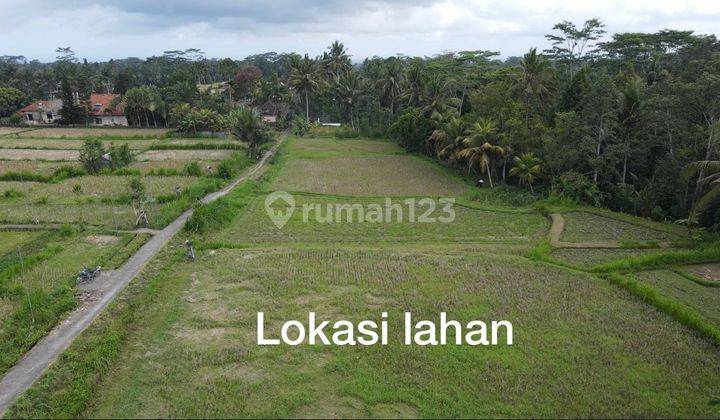 Cool valley rice field view land in East Ubud suitable for villas and restaurants