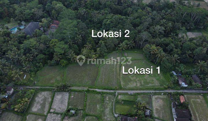 Tanah view sawah lembah keren di ubud timur cocok villa dan resto 2