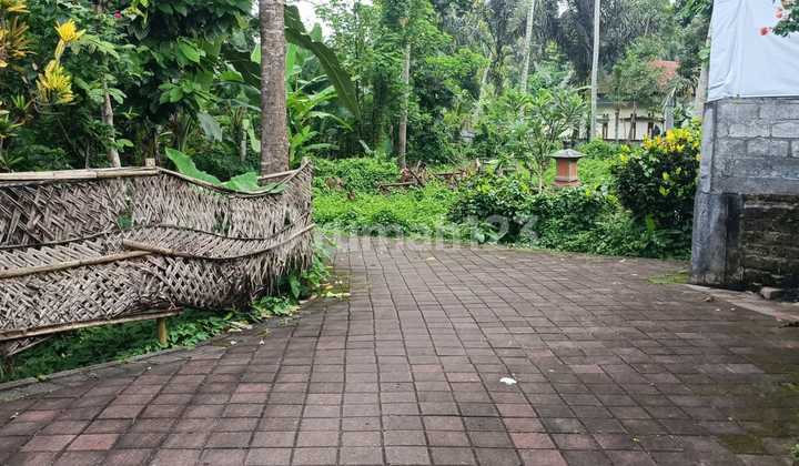 Tanah murah cocok villa/ investasi di badung 3