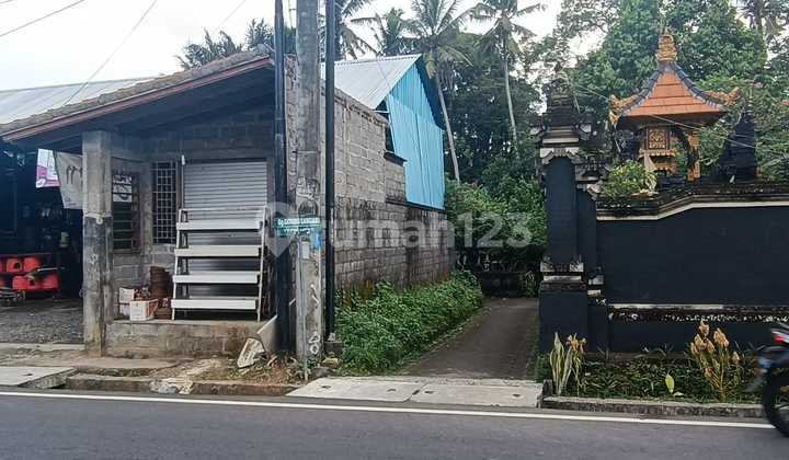 Tanah murah cocok villa/ investasi di badung 4