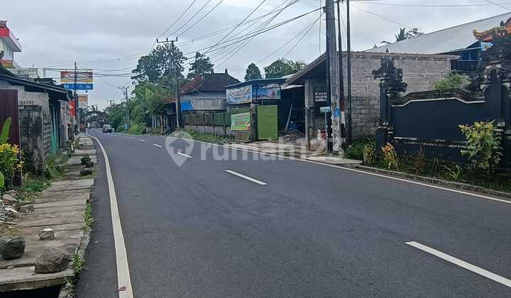 Tanah murah cocok villa/ investasi di badung 5