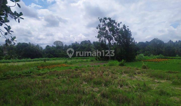 Tanah View Keren Cocok Villa Harga Murah Di Saba 1