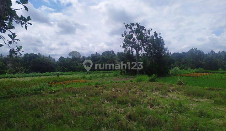 Tanah View Keren Cocok Villa Harga Murah Di Saba 2