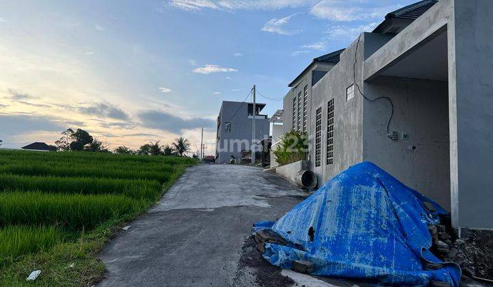 Tanah Strategis Tumbak Bayuh, Canggu. Tanah Canggu view sawah Bagus 2