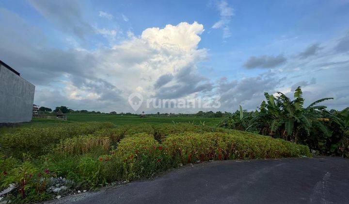 Tanah Strategis Tumbak Bayuh, Canggu. Tanah Canggu view sawah Bagus 1