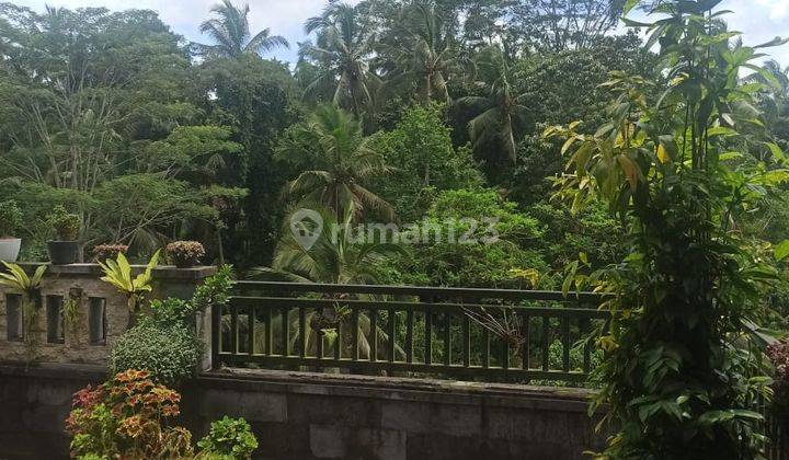 Rumah pinggir jalan raya pujung ubud cocok jadi villa
 Resto 2