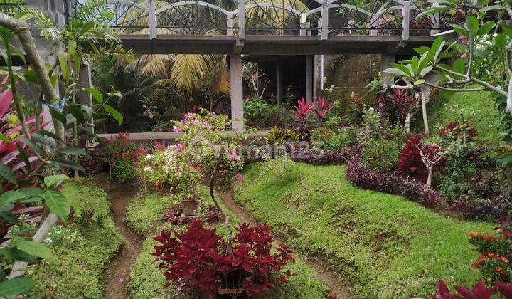 Rumah sewa 1 kamar di ubud selatan siap huni  1