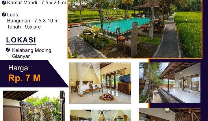 Cool villa complex in Ubud at low prices  1