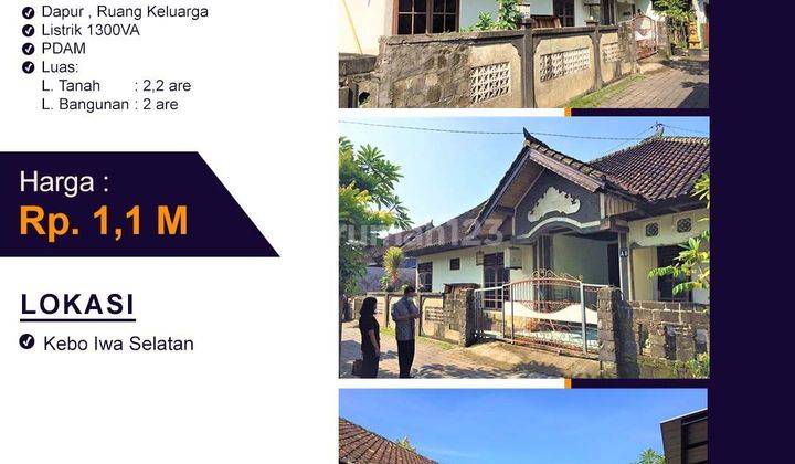 Rumah ukuran besar di jalan kobo iwa harga murah 1