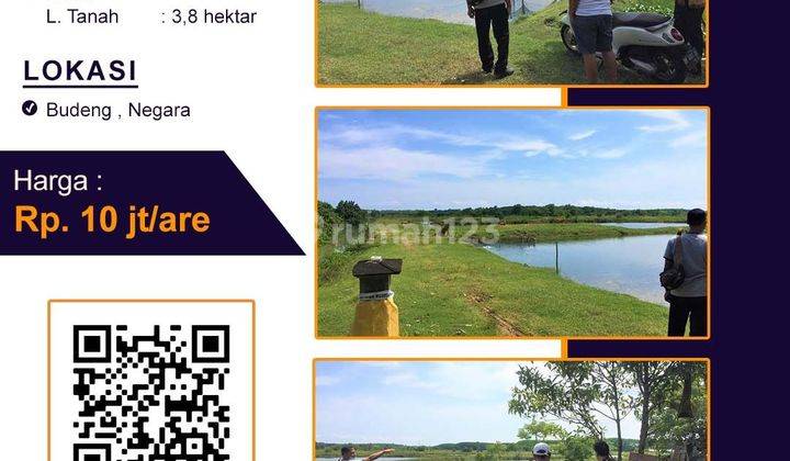 Tanah murah bonus tambak di negara cocok investasi 1