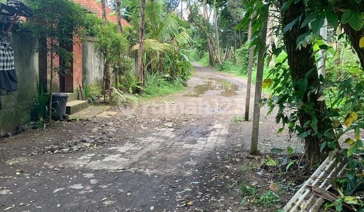Dijual Tanah Murah di Lodtunduh Ubud Luas