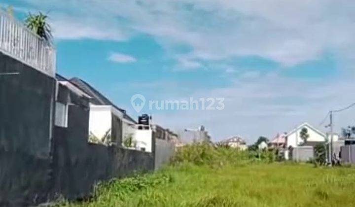 TANAH PALING MURAH DI UMALAS BUMBAK VIEW CANTIK 3
