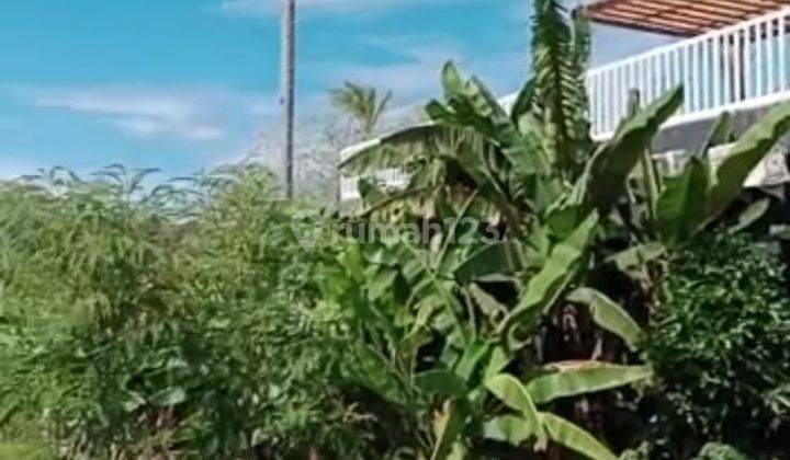 TANAH PALING MURAH DI UMALAS BUMBAK VIEW CANTIK 5