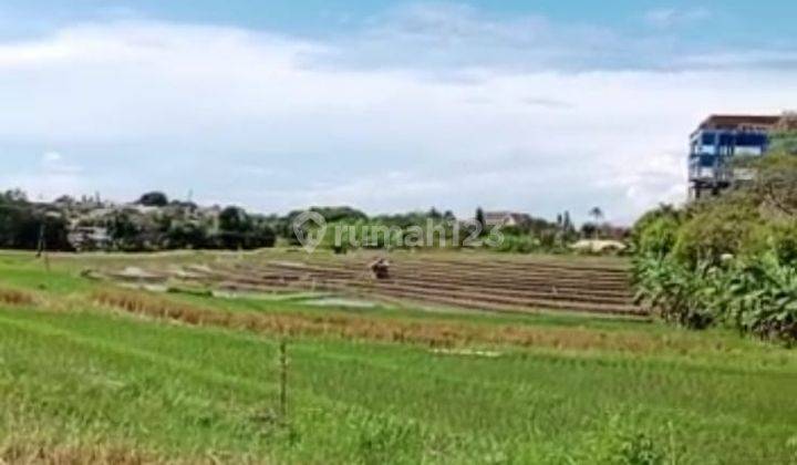 TANAH PALING MURAH DI UMALAS BUMBAK VIEW CANTIK 7