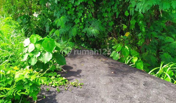 TANAH VIEW SUNGAI COCOK VILLA DI DENPASAR TIMUR  1