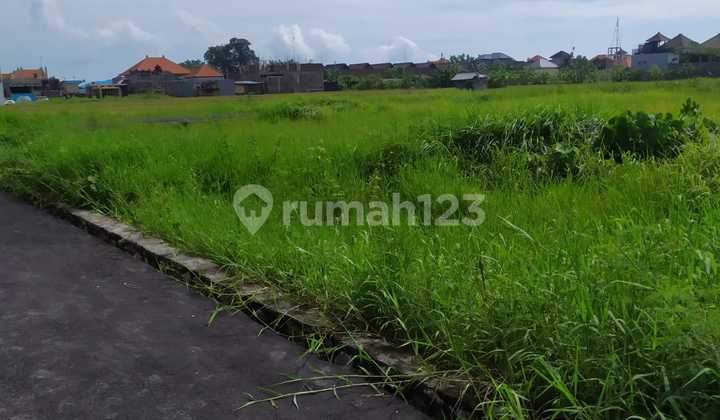 TANAH VIEW SUNGAI COCOK VILLA DI DENPASAR TIMUR  8