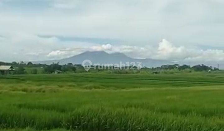 TANAH VIEW CANTIK TERMURAH DI UMALAS BUMBAK  5
