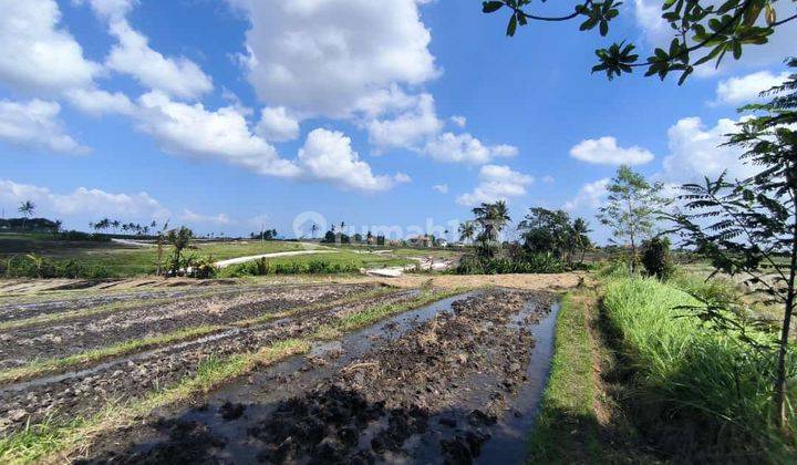 TANAH DEKAT PANTAI PERERENAN COCOK VILLA 