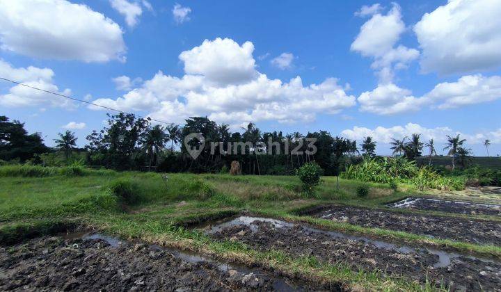 TANAH DEKAT PANTAI PERERENAN COCOK VILLA 