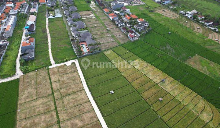 CHEAPEST BEAUTIFUL VIEW LAND IN UMALAS SUITABLE FOR VILLA  1