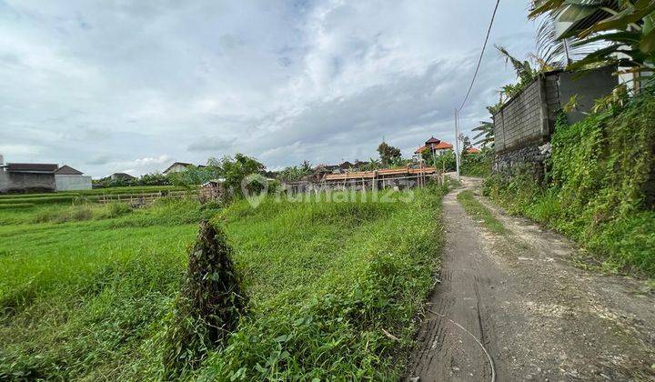 RESIDENTIAL ZONE LAND IN CANGGU READY TO BUILD A VILLA 1