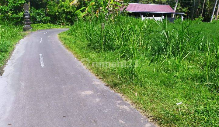 TANAH SEWA VIEW SAWAH DAN JUNGLE KEREN DI TIMUR UBUD 1