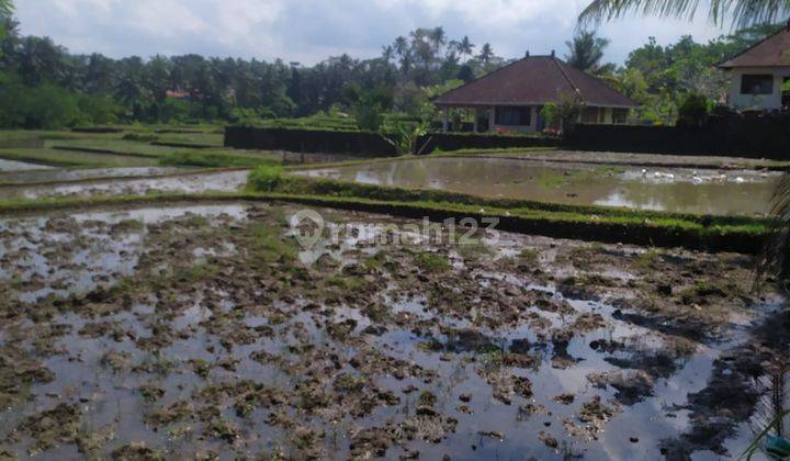 Tanah View Cantik Cocok Villa Rental Harga Murah 1