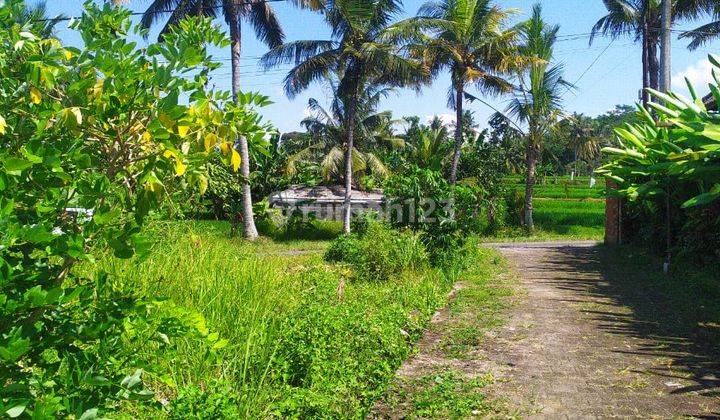 SMALL LAND FOR RENTAL SUITABLE FOR PRIVATE VILLA ON BIG ROAD 2