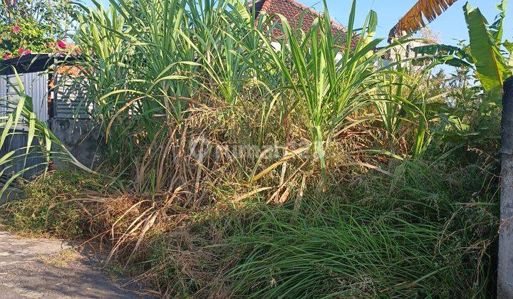 TANAH VIEW SAWAH CANTIK DI KETEWEL SIAP BANGUN  1