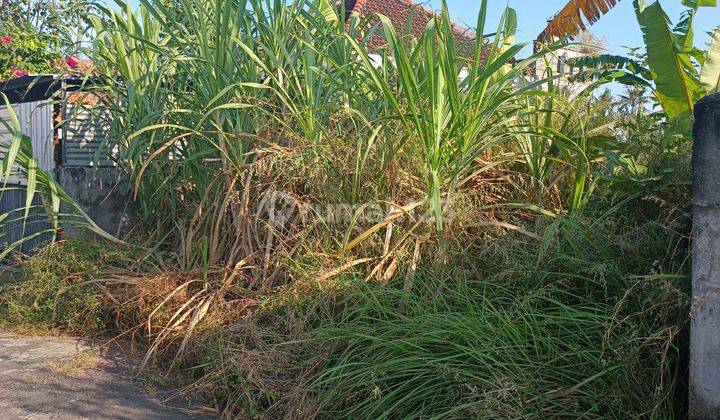 TANAH VIEW SAWAH CANTIK DI KETEWEL SIAP BANGUN  2