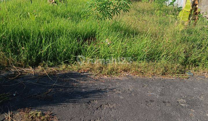 TANAH MURAH COCOK VILLA DI KETEWEL SIAP BANGUN  1