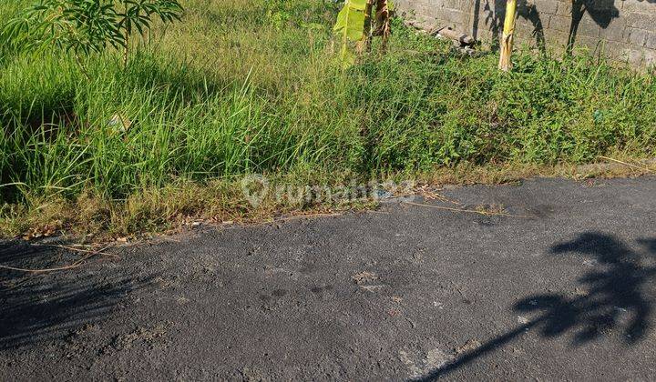 TANAH MURAH COCOK VILLA DI KETEWEL SIAP BANGUN  2