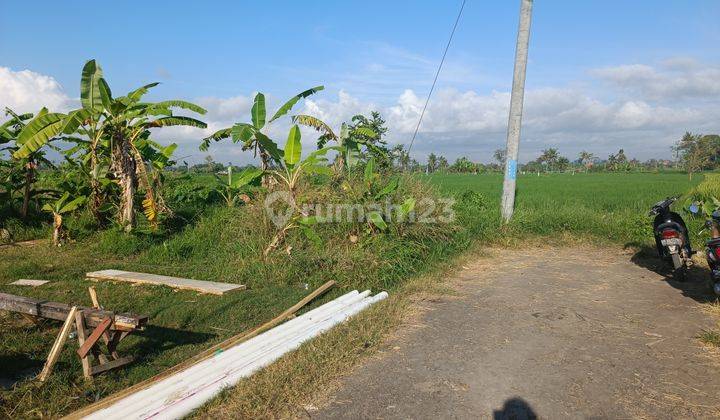 LAND WITH COOL VIEW OF FIELD AND SEA IN KETEWEL SUITABLE VILLA  2