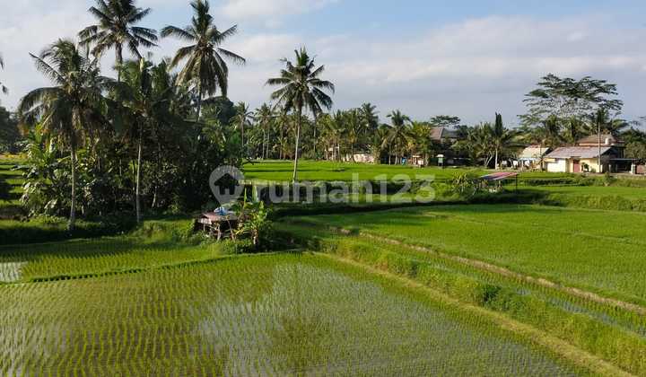 RUMAH STYLE VILLA CANTIK HARGA MURAH UDARA SEJUK