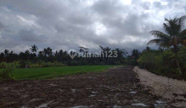 TANAH UBUD LINGKUNGAN HOTEL DAN RESORT SIAP BANGUN  2