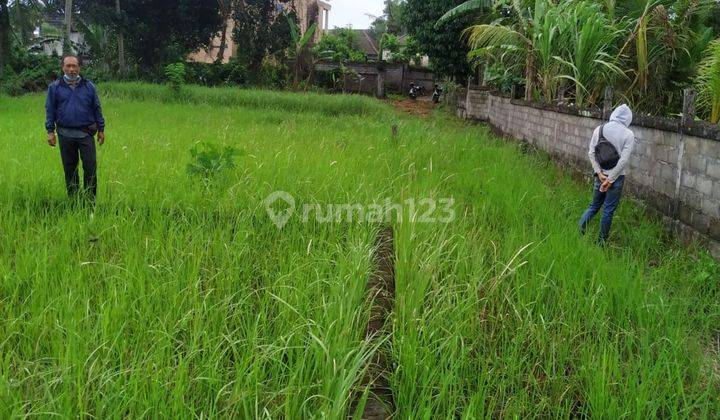 TANAH LINGKUNGAN VILLA DI UBUD SIAP BANGUN 