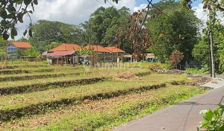 TANAH TERMURAH DI BUMBAK DAUH LOKASI BAGUS COCOK VILLA 2