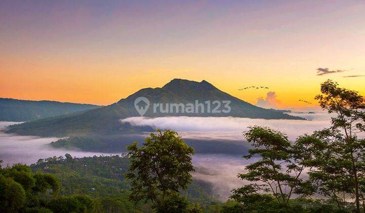 TANAH DENGAN PEMANDANGAN SUPER CANTIK DI KINTAMANI  1