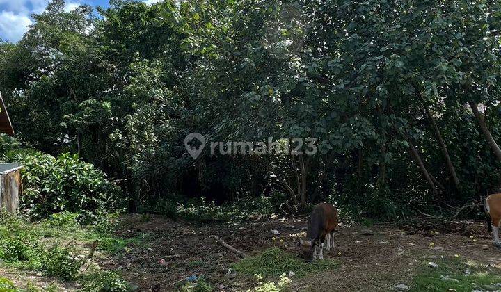 LAND FOR RENTAL READY TO BUILD IN UMALAS VERY NICE LOCATION 2