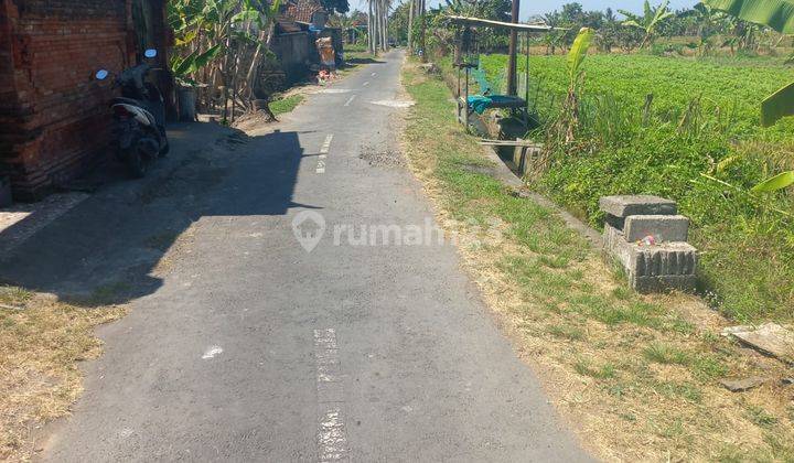 ASPHALT ROADSIDE LAND SUITABLE FOR A VILLA 2